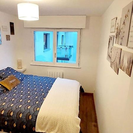 Appartement Cosy Strasbourg Luaran gambar